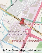 ,27020Pavia