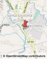 Osterie e Trattorie Santa Giustina in Colle,35010Padova