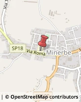 Agenzie di Vigilanza e Sorveglianza Minerbe,37046Verona