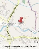 Autotrasporti Cordignano,31016Treviso