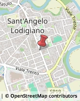 Agenzie Immobiliari Sant'Angelo Lodigiano,26866Lodi