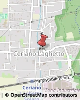 Giornalai Ceriano Laghetto,20816Monza e Brianza