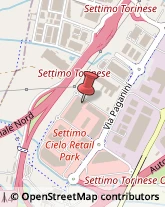 Spezie Settimo Torinese,10036Torino