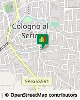 Massaggi Cologno al Serio,24055Bergamo