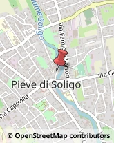 Studi Medici Generici Pieve di Soligo,31053Treviso