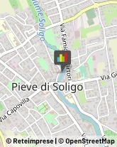 Studi Medici Generici Pieve di Soligo,31053Treviso