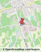 Vivai Piante e Fiori Farra di Soligo,31010Treviso