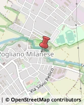 Pasticcerie - Dettaglio Pogliano Milanese,20010Milano