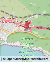 ,34011Trieste