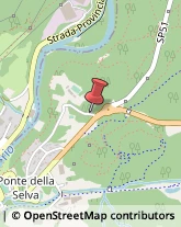 Corpo Forestale Clusone,24023Bergamo