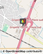 ,27027Pavia