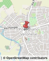 Veterinaria - Ambulatori e Laboratori Povegliano Veronese,37064Verona