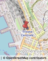 Trasporto Pubblico,34135Trieste