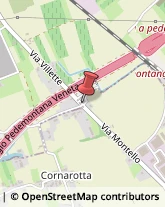 Trasporti Internazionali Montebelluna,31044Treviso