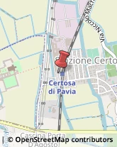 ,27010Pavia