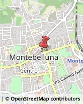 Pollame, Conigli e Selvaggina - Dettaglio Montebelluna,31044Treviso