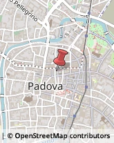 Notai Padova,35139Padova