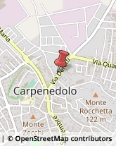 Notai Carpenedolo,25013Brescia