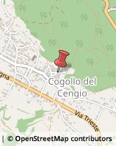 Aziende Agricole Cogollo del Cengio,36010Vicenza