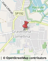 Autofficine e Centri Assistenza Gravellona Lomellina,27020Pavia