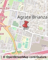 Autotrasporti Agrate Brianza,20864Monza e Brianza