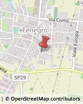 Pavimenti in Legno Fenegrò,22070Como
