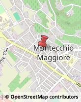 Biciclette - Ingrosso e Produzione Montecchio Maggiore,36075Vicenza