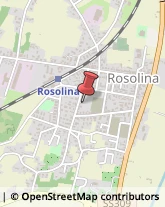 Consulenza del Lavoro Rosolina,45010Rovigo