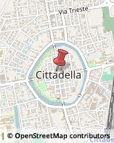 Logopedia Cittadella,35013Padova