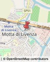 Istituti di Bellezza Motta di Livenza,31045Treviso