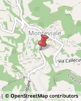 Tipografie Monteviale,36050Vicenza