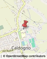 Aziende Agricole Caldogno,36030Vicenza