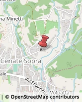 Articoli per Ortopedia Cenate Sopra,24060Bergamo