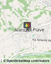 Case di Riposo e Istituti di Ricovero per Anziani Alano di Piave,32031Belluno