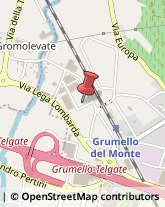 Fibbie Grumello del Monte,24064Bergamo