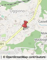 Macellerie Oggiono,23848Lecco