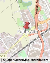 Autofficine e Centri Assistenza,36100Vicenza