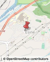 Consulenza Commerciale Esine,25040Brescia