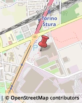 Consulenza di Direzione ed Organizzazione Aziendale Torino,10156Torino