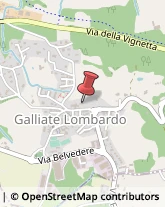 Ristoranti Galliate Lombardo,21020Varese