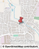 Aziende Agricole Quinzano d'Oglio,25027Brescia