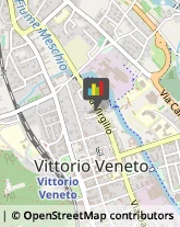 Associazioni Sindacali Vittorio Veneto,31029Treviso