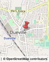 Erboristerie Dueville,36031Vicenza