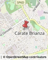 Gelaterie Carate Brianza,20841Monza e Brianza