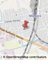 Trattori e Trainatori Mortara,27036Pavia