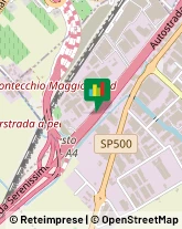 Trasporti Internazionali Brendola,36040Vicenza