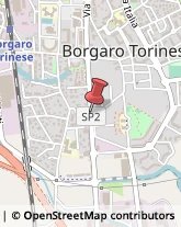 Giardinaggio - Macchine ed Attrezzature Borgaro Torinese,10071Torino