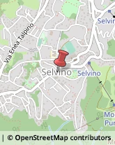 Istituti Finanziari Selvino,24020Bergamo