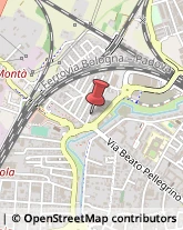 Autofficine e Centri Assistenza,35138Padova