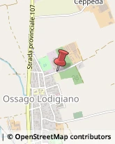 Pasticcerie - Dettaglio Ossago Lodigiano,26816Lodi